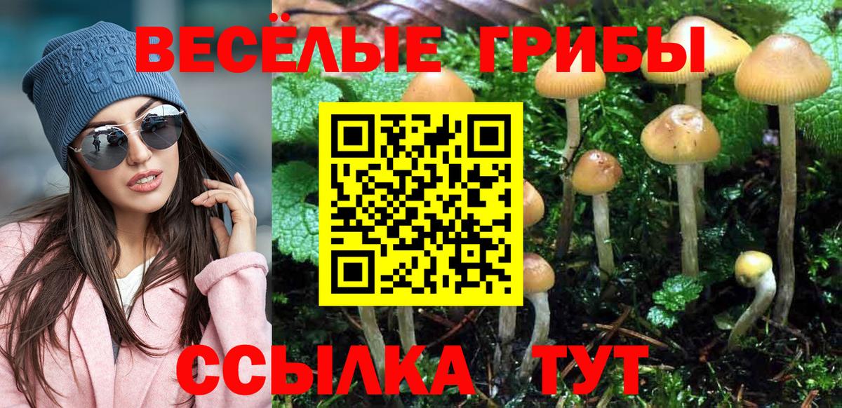 Галлюциногенные грибы MAGIC MUSHROOMS Симферополь